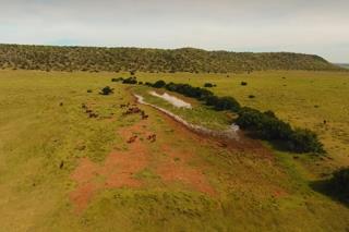  Bedroom Property for Sale in Fauresmith Rural Free State